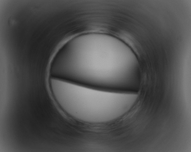 X0000096991379200802080911