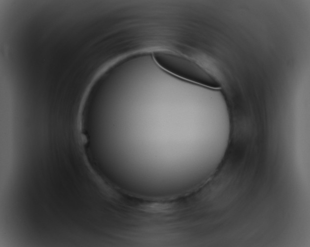 X0000096991380200802080911