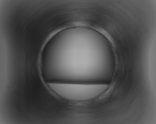 X0000096991381200802080911