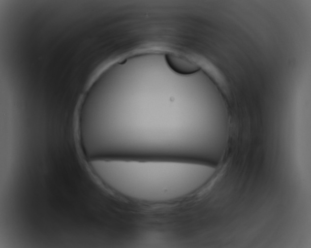 X0000096991382200802080911