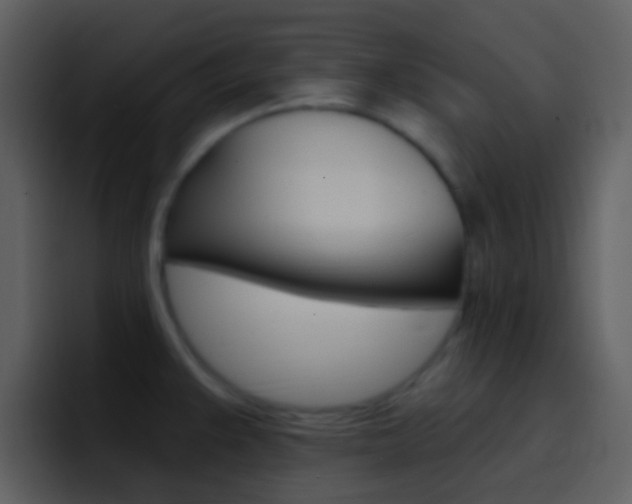 X0000096991383200802080911