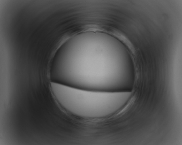 X0000096991385200802080911
