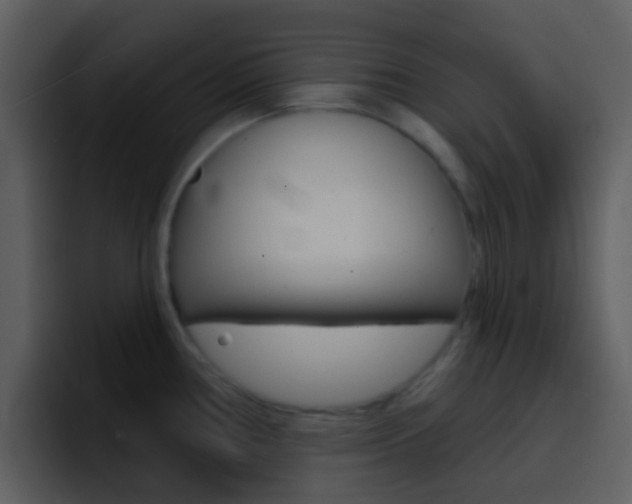 X0000096991386200802080911
