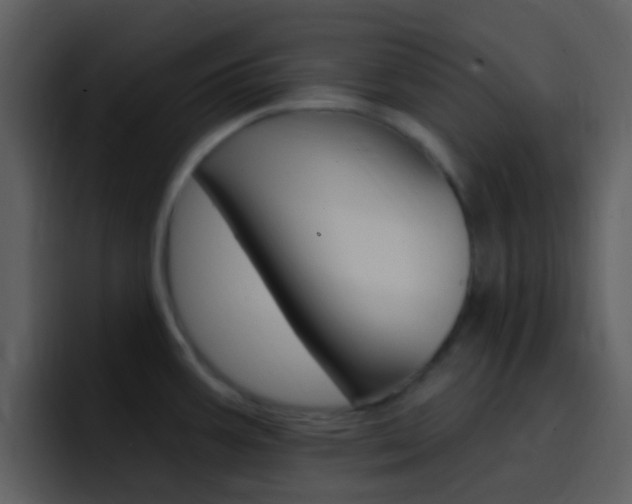 X0000096991387200802080911