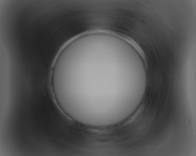 X0000096991388200802080911