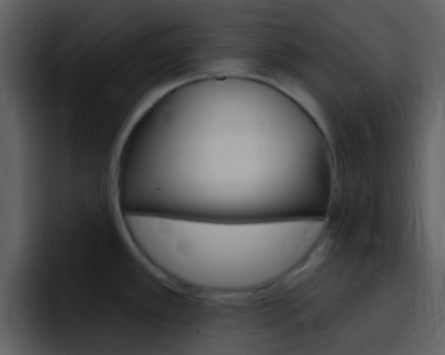 X0000096991389200802080911