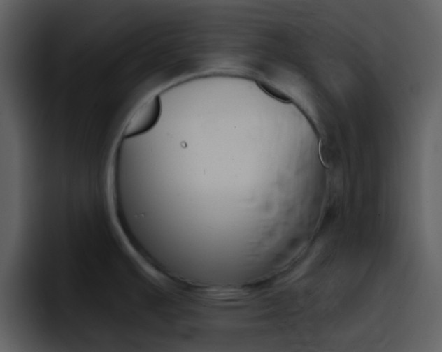 X0000096991391200802080911
