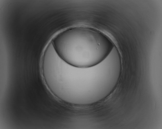 X0000096991392200802080911