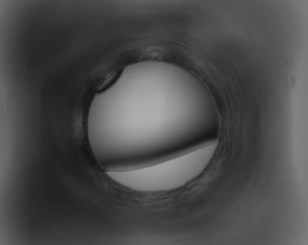 X0000096991394200802080910