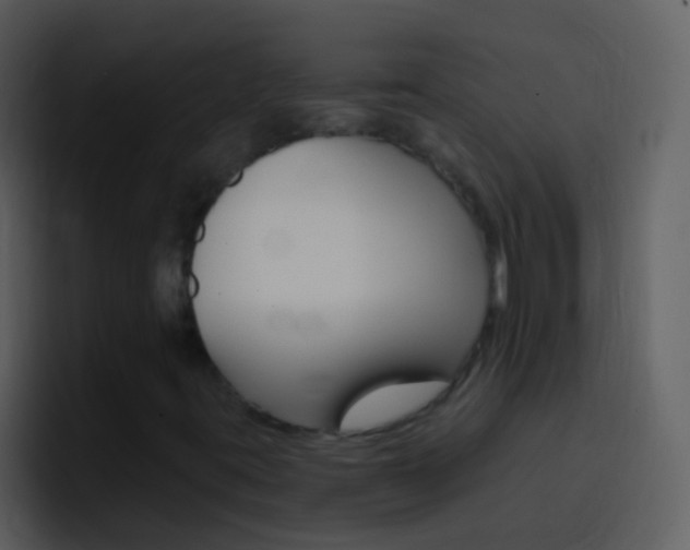 X0000096991395200802080910