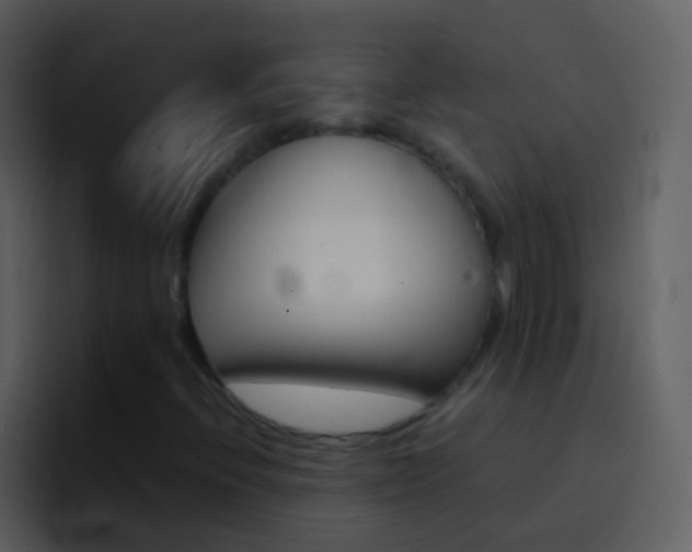 X0000096991396200802080910