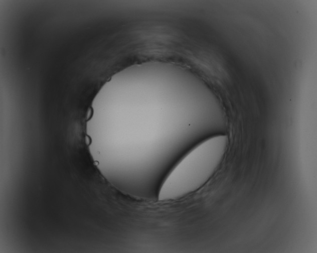 X0000096991397200802080910