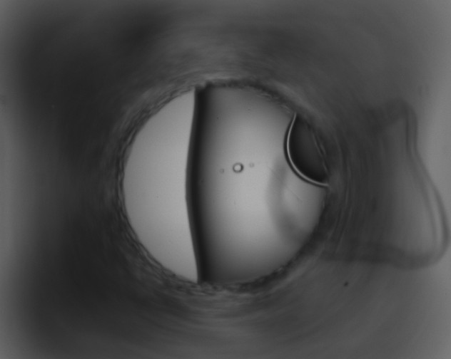 X0000096991398200802080910