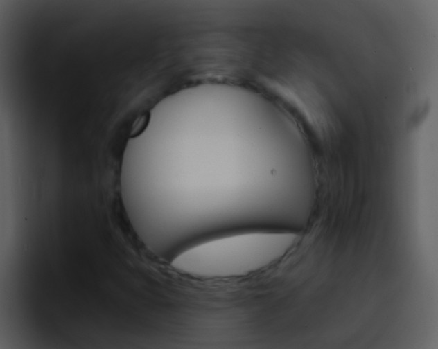 X0000096991399200802080910
