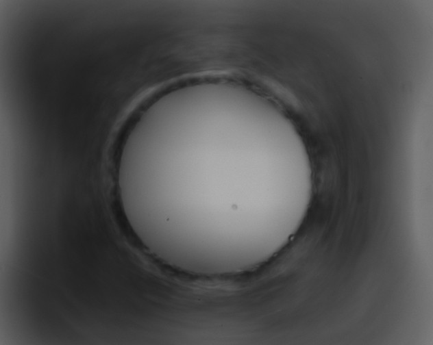 X0000096991400200802080910