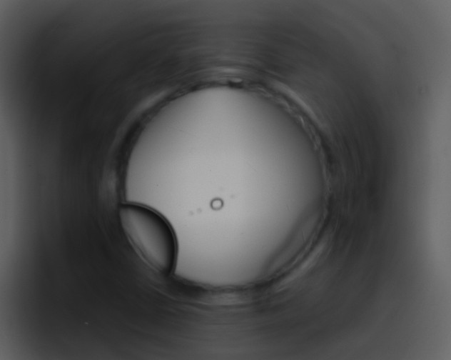 X0000096991402200802080910