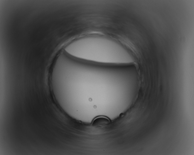 X0000096991404200802080910