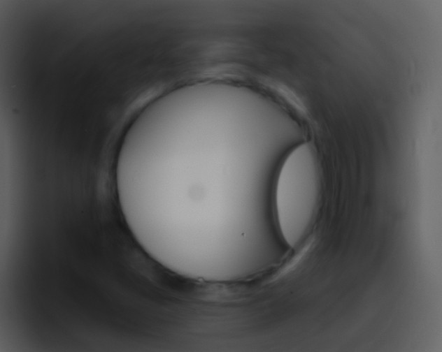 X0000096991405200802080910