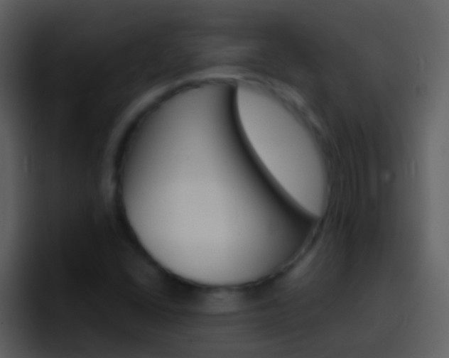 X0000096991406200802080910