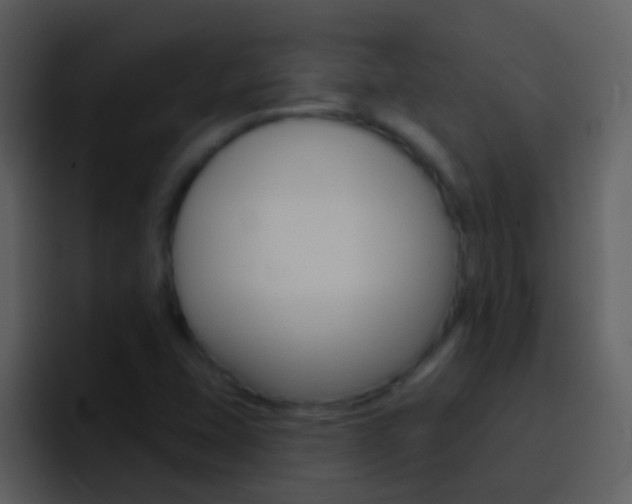 X0000096991407200802080910