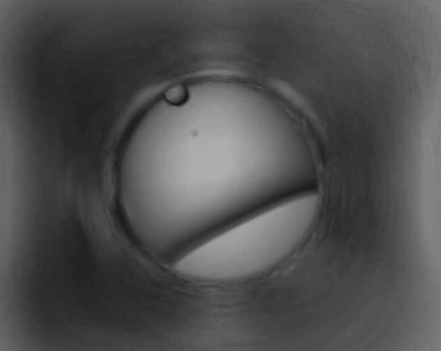 X0000096991408200802080910
