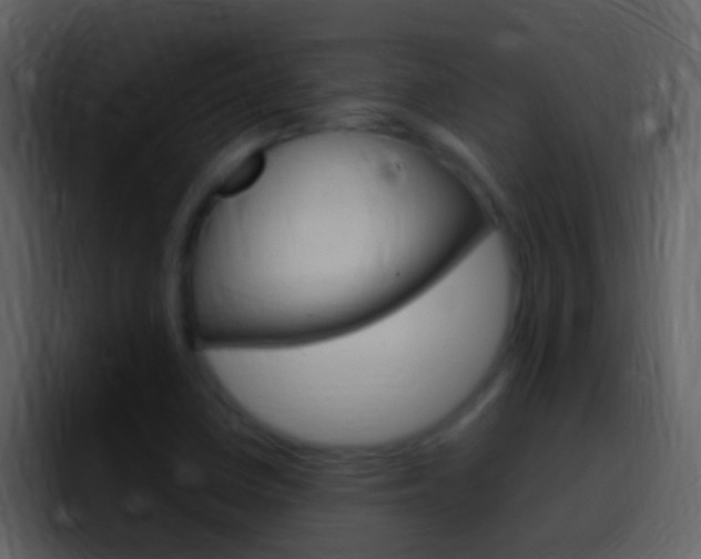 X0000096991410200802080910