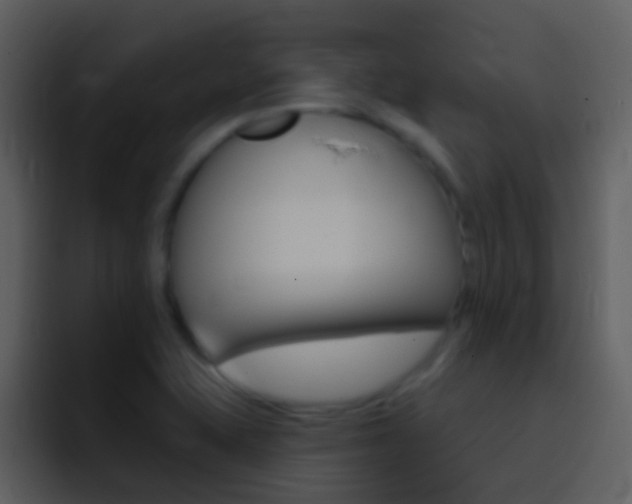 X0000096991415200802080910