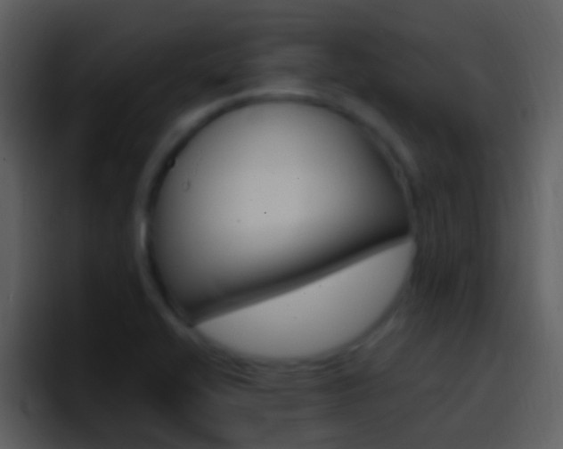 X0000096991416200802080910