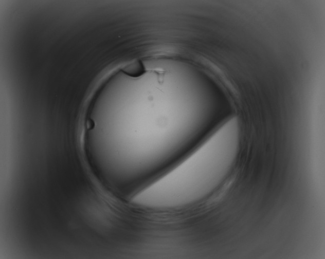 X0000096991418200802080910