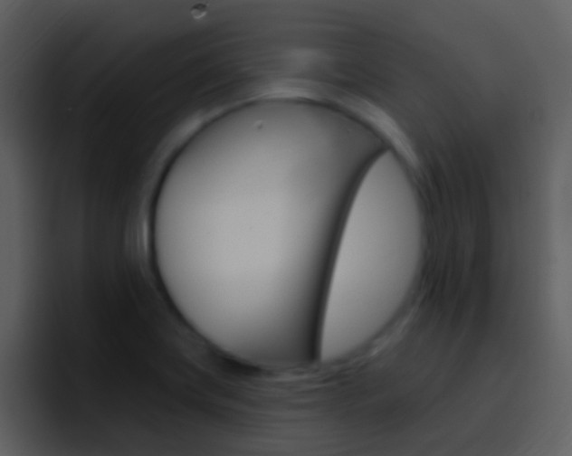 X0000096991419200802080910