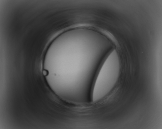X0000096991420200802080910