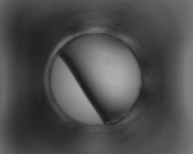X0000096991422200802080910