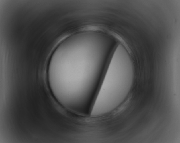 X0000096991426200802080910