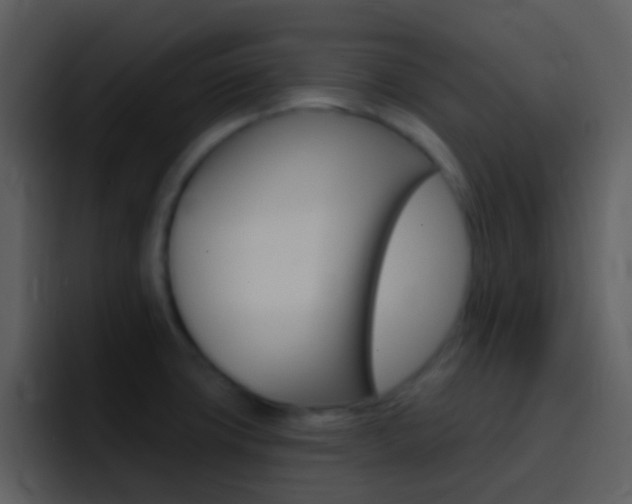 X0000096991427200802080910