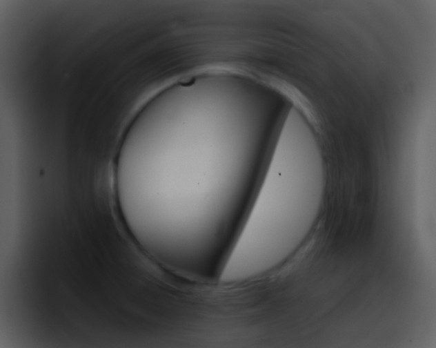 X0000096991428200802080910