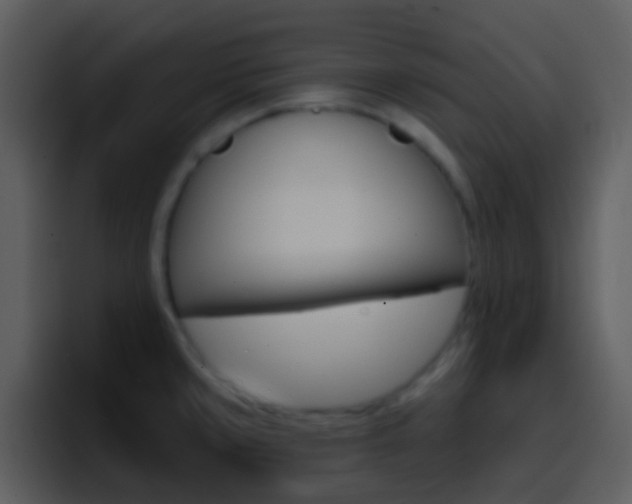 X0000096991429200802080910