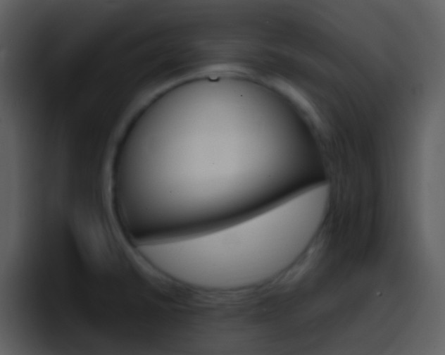 X0000096991430200802080910