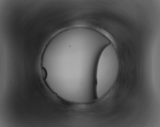 X0000096991431200802080910