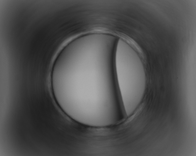 X0000096991432200802080910