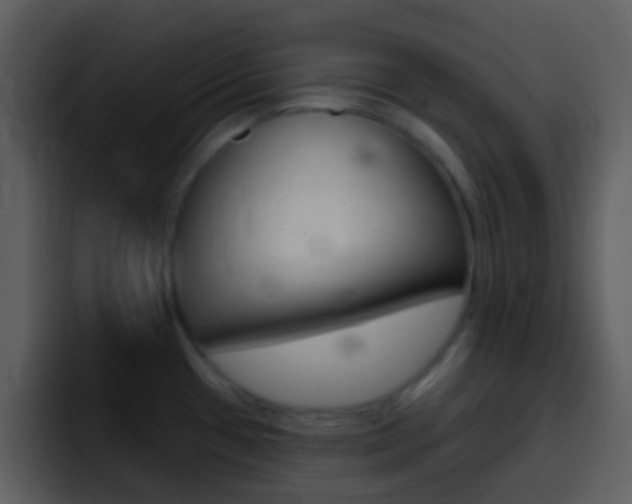 X0000096991433200802080910