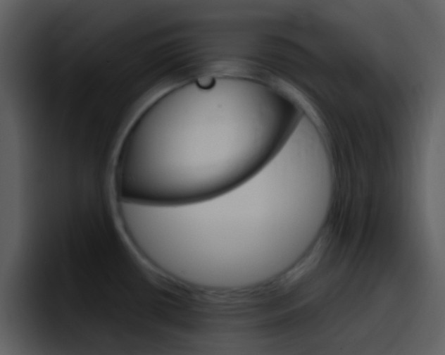 X0000096991434200802080910