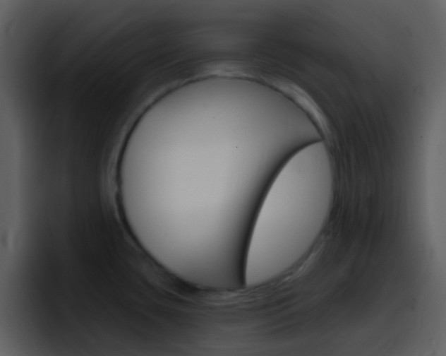 X0000096991435200802080910