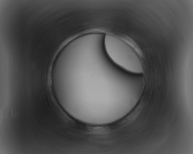 X0000096991436200802080910