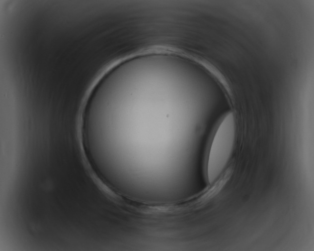 X0000096991438200802080910