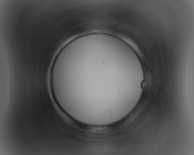 X0000096991439200802080910