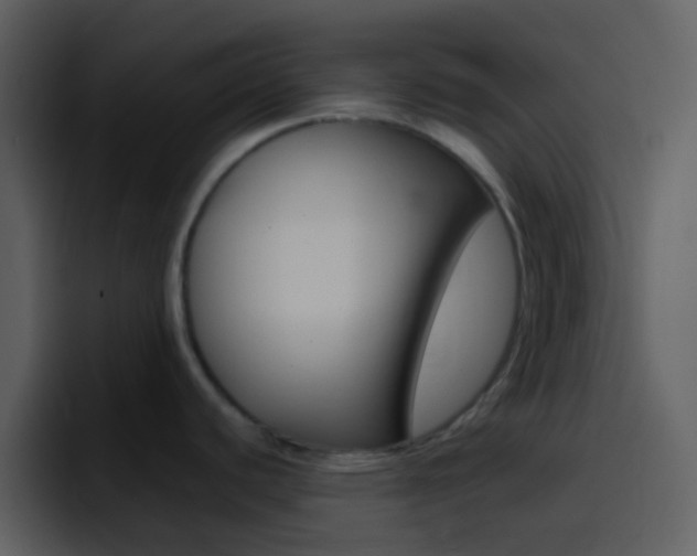 X0000096991440200802080910