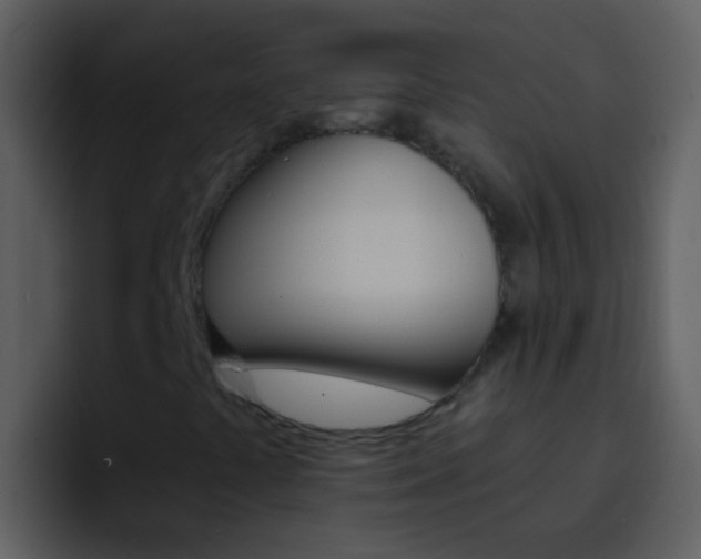 X0000096991441200802080910