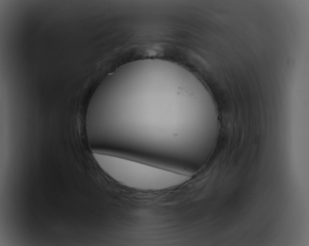 X0000096991442200802080910