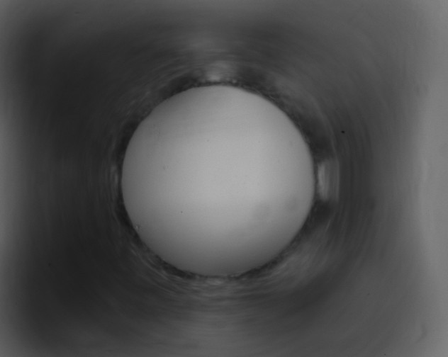 X0000096991443200802080910