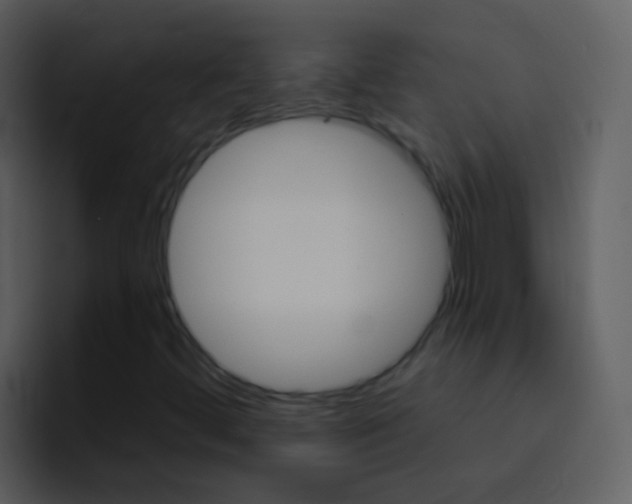 X0000096991444200802080910